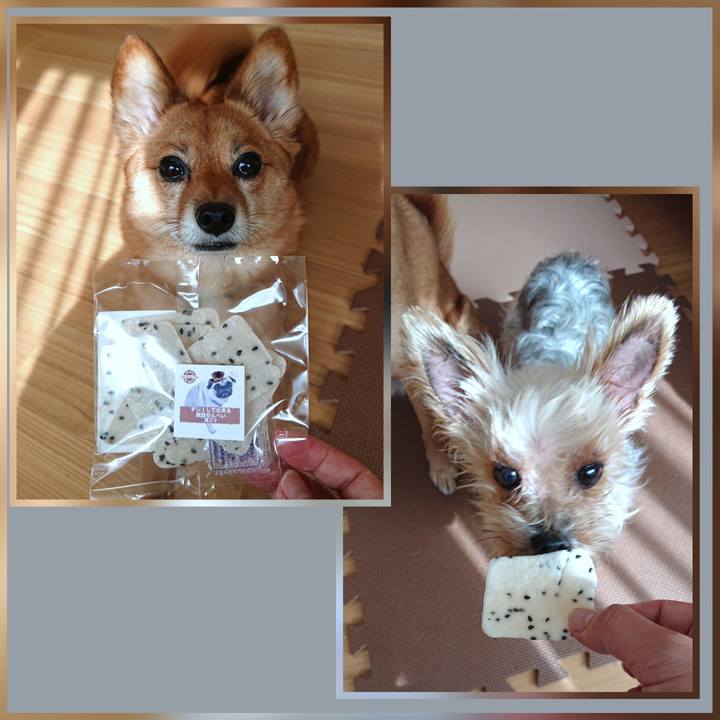 905cc94f da7f 459d 822b 91d0319e9e0a 1613883677922