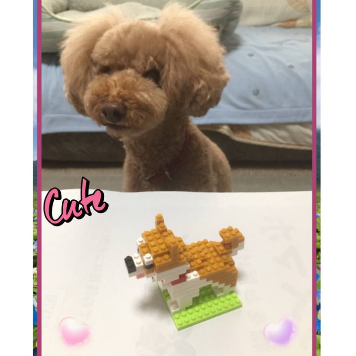 905ce3a1 3382 42ea b17c 6fdaa131bbd9 1536992005366