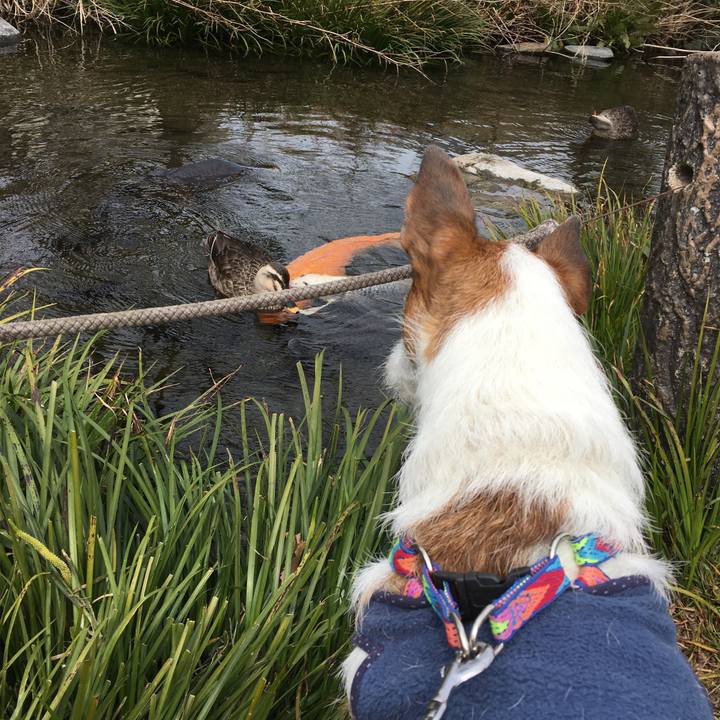 905d47d0 5f69 41f6 8664 b8b6e0304f83 1583709800455