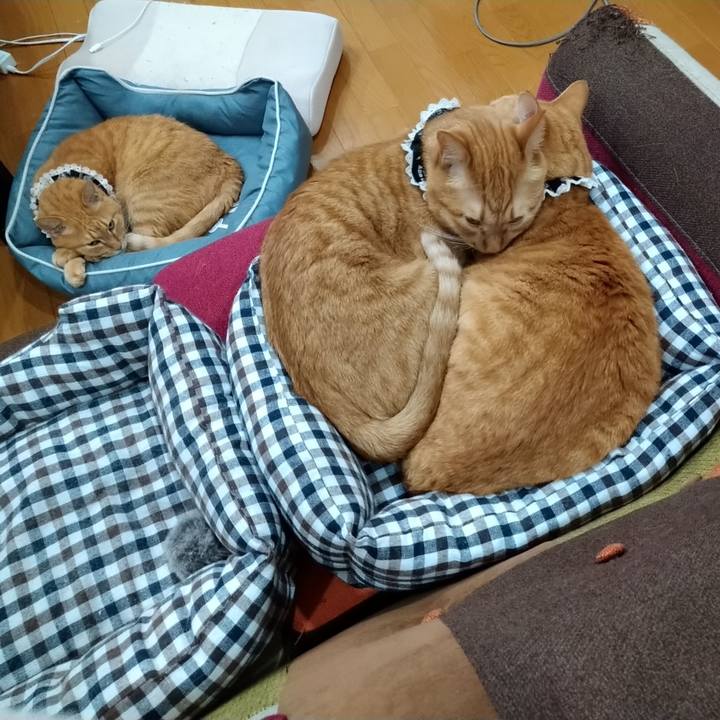 905d5e0b 95f8 41a6 8fd0 470a86e1b1aa 1601623724261