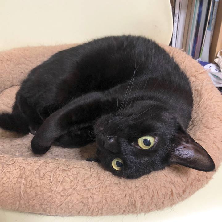 905d7543 64c4 4989 95c5 854d9f6c0ea0 1590146219220