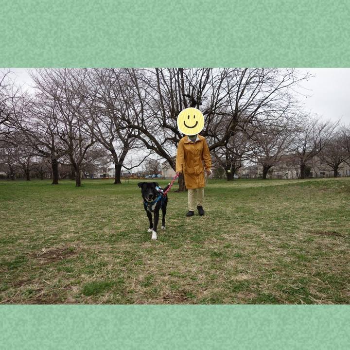 905dd0c0 05ee 4db8 af18 7e0aa6323ea1 1616198543838