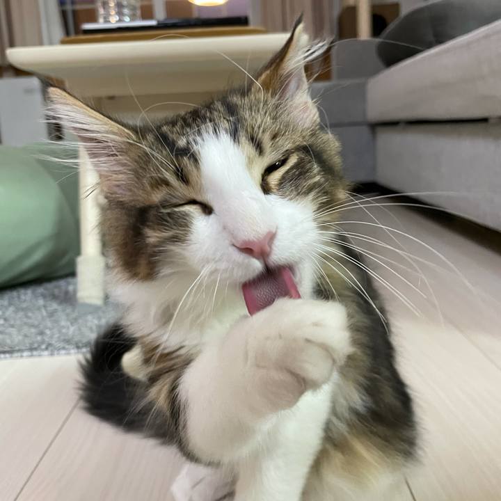 905e3af5 112d 405c b900 3ae96e396316 1634590665311