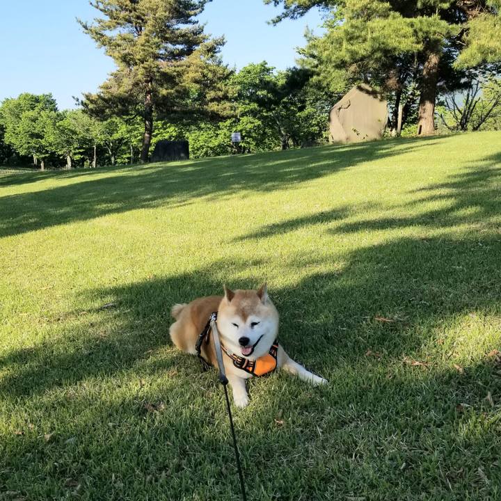 905e9b5c da47 4efc a7fa 0ee3352c2ef2 1715672827100