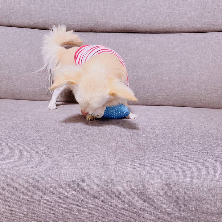 905efafc 4da8 41da 99b8 d775c72ca6ea 1679123902074