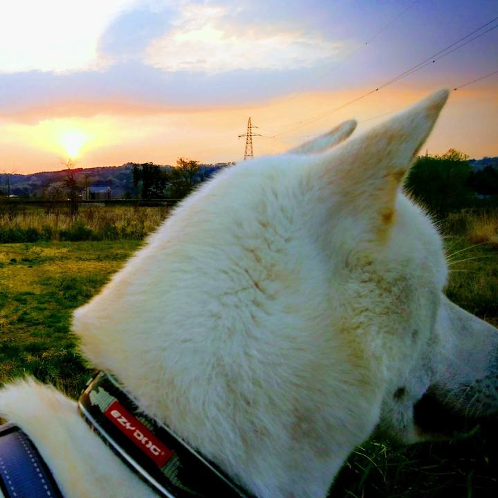 905eff93 fcc8 4c9b 9082 6071a078ed94 1524222705076