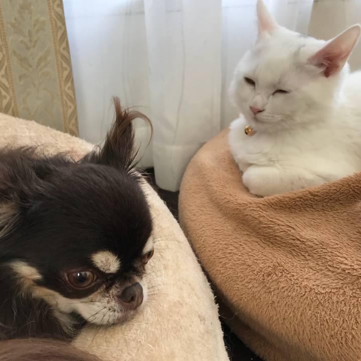 905f03f7 1b07 4efc ab17 6b5c56bc0284 1511671586150