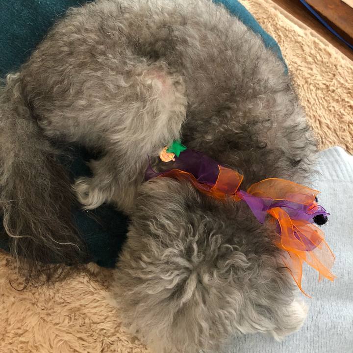 905f3052 6683 4119 b00e cb5d8e9acbde 1540693514088