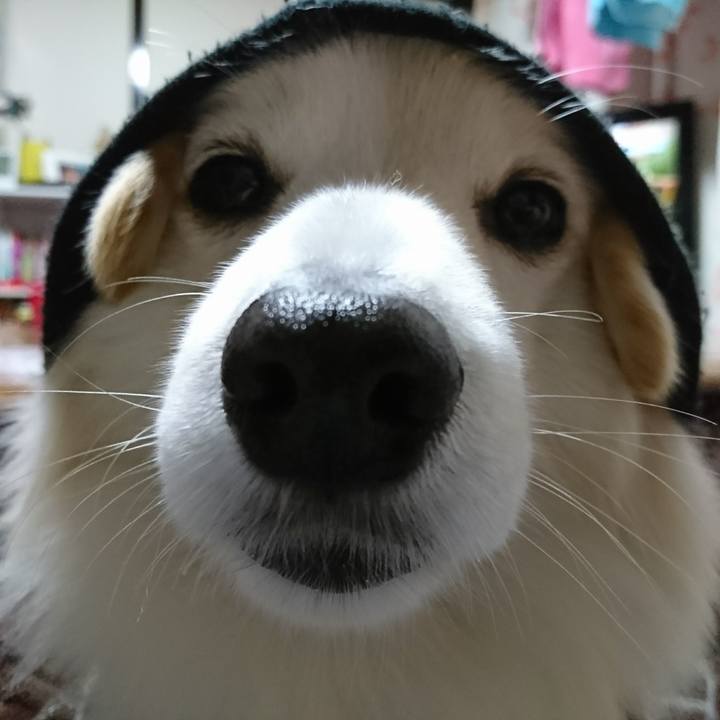 905f37e3 ac82 4eae 9b2a 75e004c4255b 1515322824417