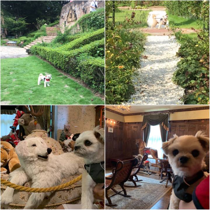 905f5e92 c948 46a6 8838 e62ccb7fd79b 1566789327812