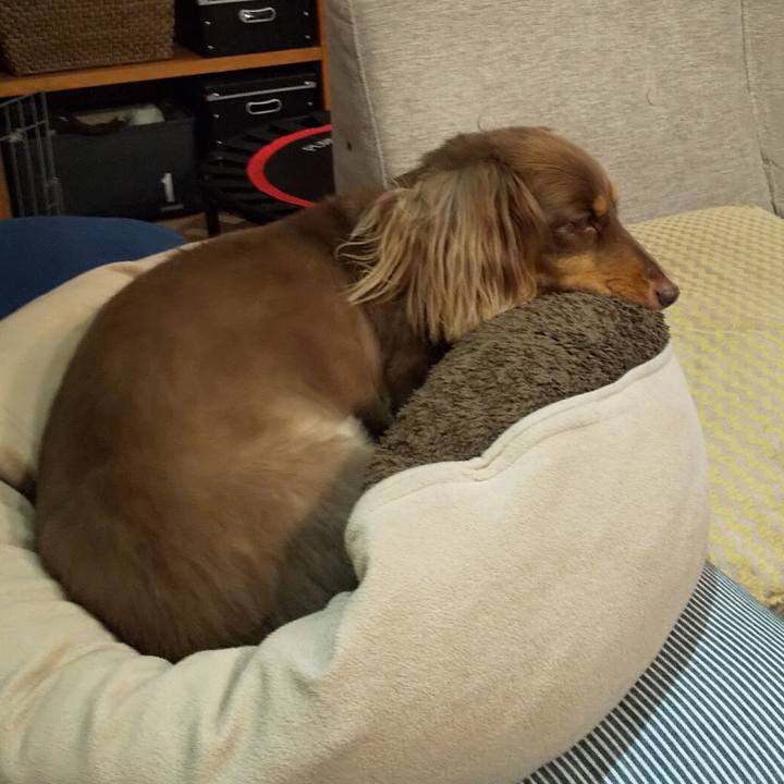 905f705e 4e48 47c1 817b 96aac0fe4c3a 1562936017105