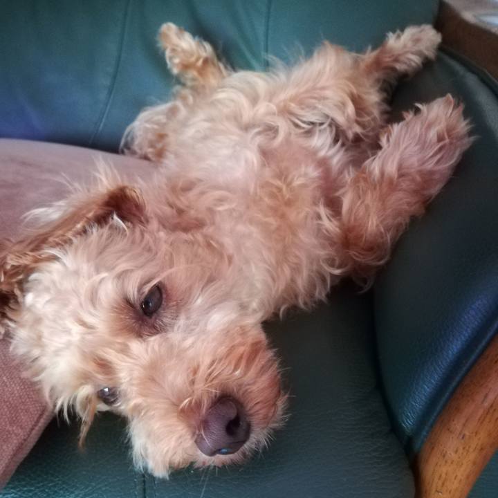 905f9a89 aeb7 4bef 8a9c cac7e3c754dd 1567121697698