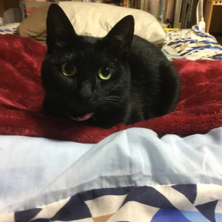 905fda25 8fc4 4e48 a83c 80ca53ab820e 1507988482017