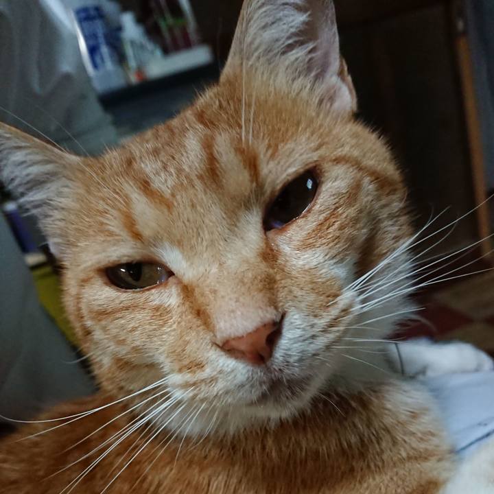 90600d44 f385 4700 9f3f 71b939de043e 1594897870562