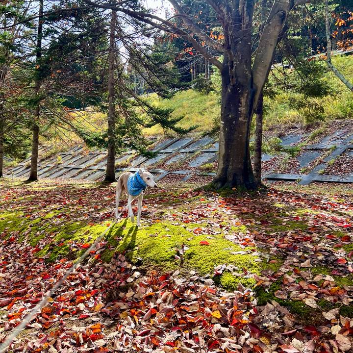 906011a3 3577 4fc3 a593 e6cc399f38dd 1762591311472