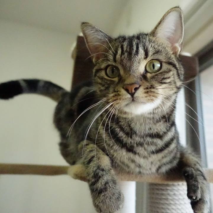 90603da8 47eb 4412 96cd bdc803750586 1513840474885