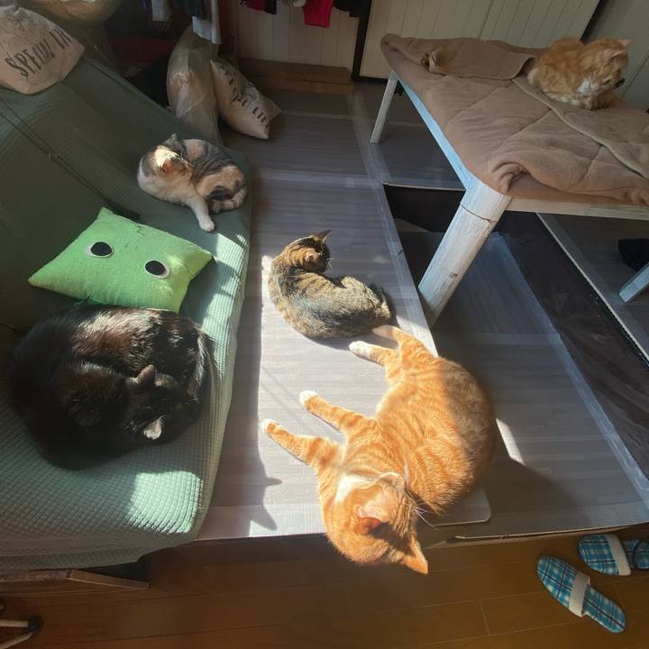 906045bc c561 4754 9183 4fd6c75883ab 1613928035985