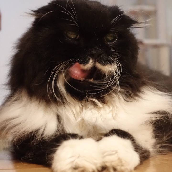 9060a138 51e1 4dad a30d 71dc38347779 1562513751595