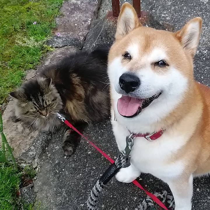 9060c45b c5fc 44ad 9c2b be2284934075 1715074658064