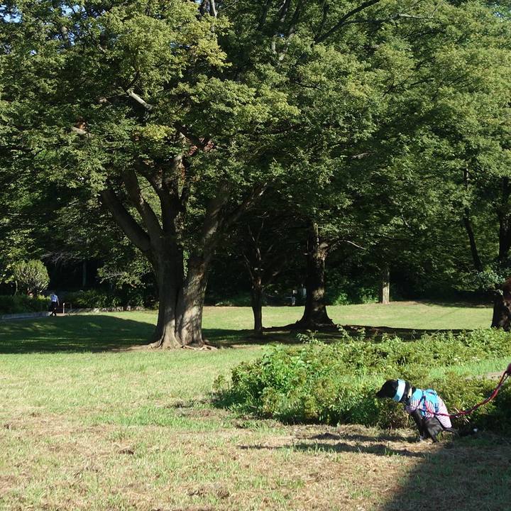 9060cf00 8a5c 4b0a 8e57 bb1d03d3dafb 1628121325618