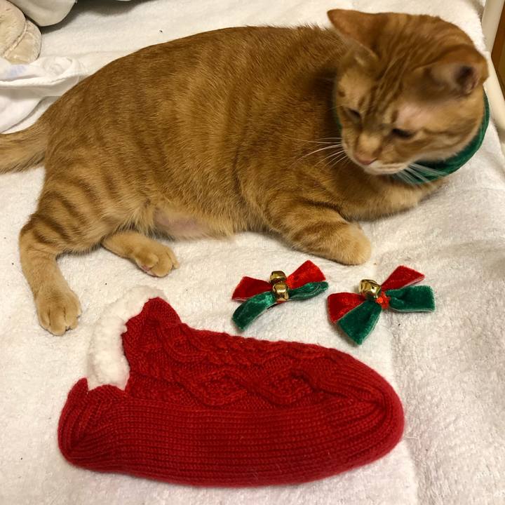 9060e4c2 c8c4 44b2 8c67 556736233913 1577101789030