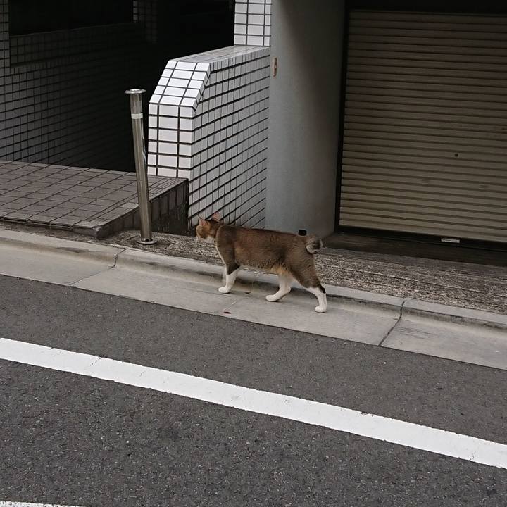 906125cf be58 4f5a b8d6 224030df2332 1531835499261