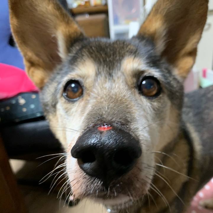 90614925 e597 45cc a34b 86c8d4aab12b 1572739017297