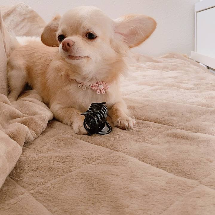 90615adf fd10 4191 ab08 08b97223ae0d 1614931528035