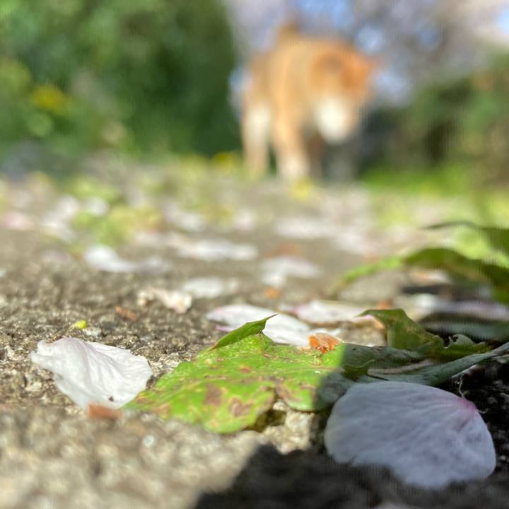 906167db 6aee 473f 8ecf c048ae5baee0 1648798356808