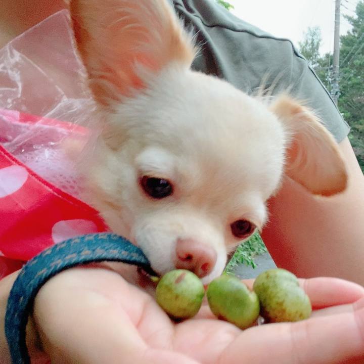 90617f05 bf8d 4bfc 93f7 bd3b893f7f40 1630489201986