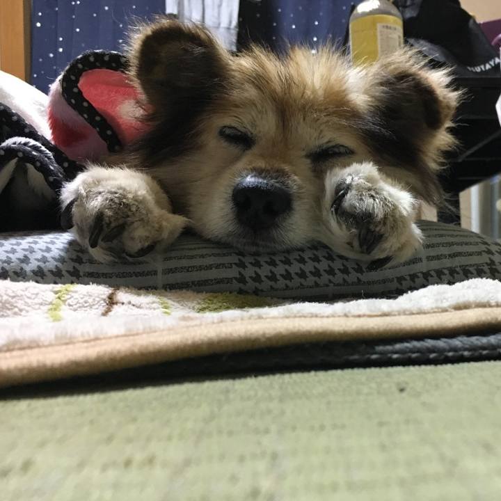 90618b32 9899 476c bbde 8380deff8339 1564161649192