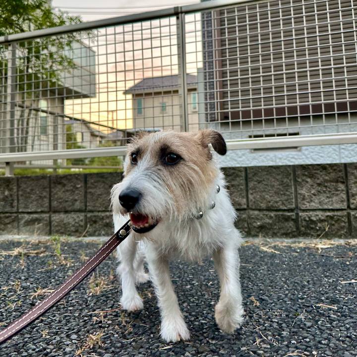 906190a6 2d5b 40c9 8f25 4e342b3f9f0b 1726147233186