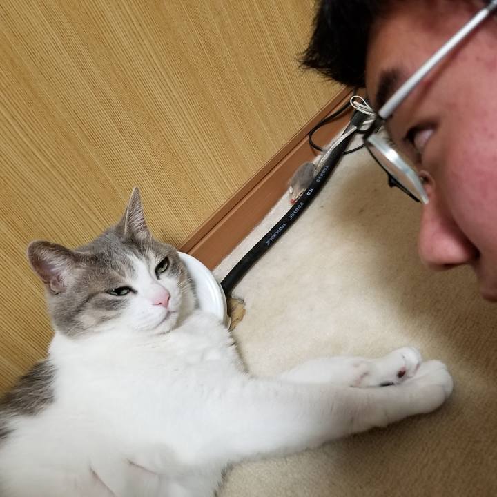 9061c051 f46d 4162 8d00 7e2a0c6f92b8 1641820978054