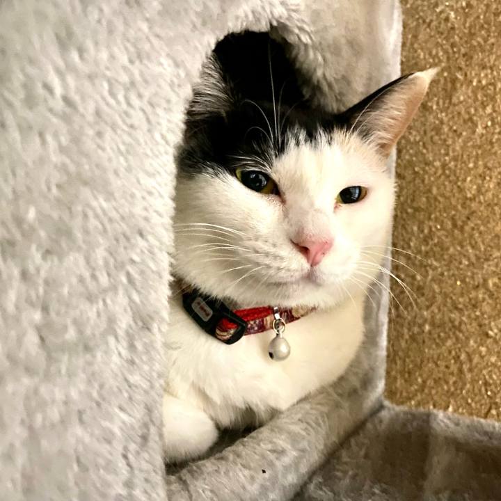 90622fc9 37eb 4740 881e da147c2a2b7c 1667738484242