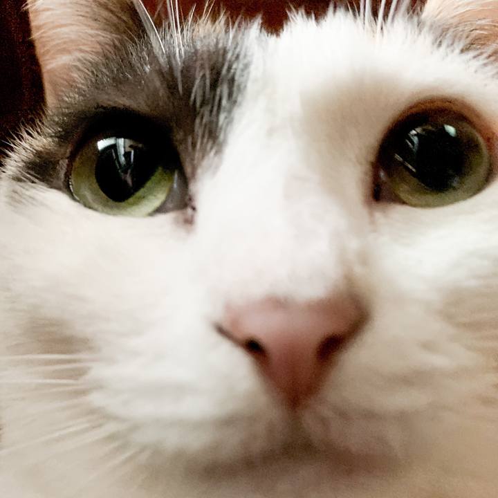 90623325 9fb1 431f 8500 4e69e6071385 1539048436921