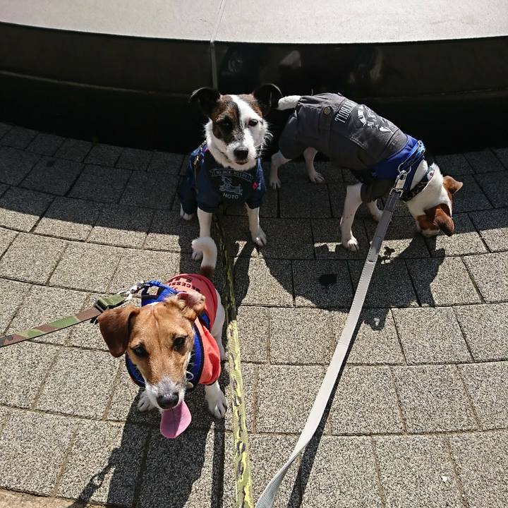 90624c1f 156e 42fd 8f5a 51a2a007e42b 1525586951804