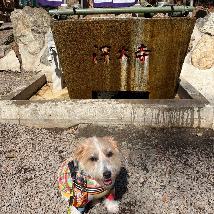 90627839 d12e 4447 8ab7 d56c6ee08441 1774092011655