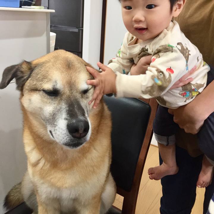 90627a09 3f6a 46c5 9c57 25798f07e6a4 1556951564562