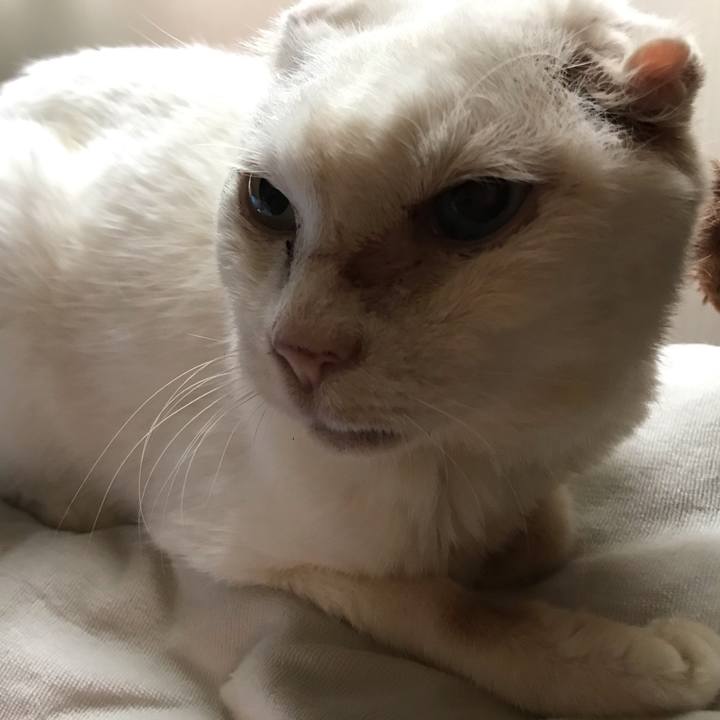 90629f34 35b5 48f9 82f2 d1ad6fefaa78 1563593723291