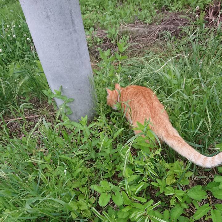 9062a040 1edc 48e7 9bc8 2c758b2d237e 1593768960195