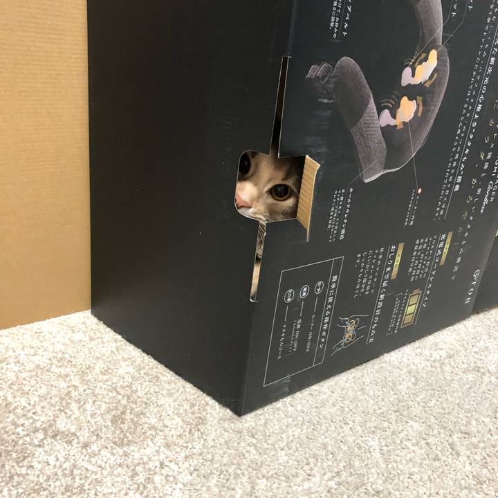 9062b2e3 640d 4575 bb90 d248412067c9 1575348593285