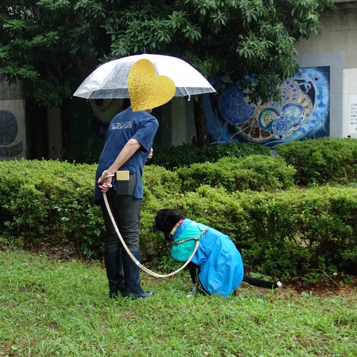 9062b53c 68ef 41e5 810c 2df640849268 1719102447161