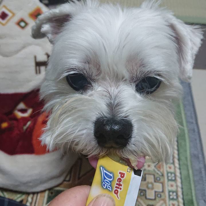 90632188 d6b5 4db1 977d 6e5187eab658 1666782719533