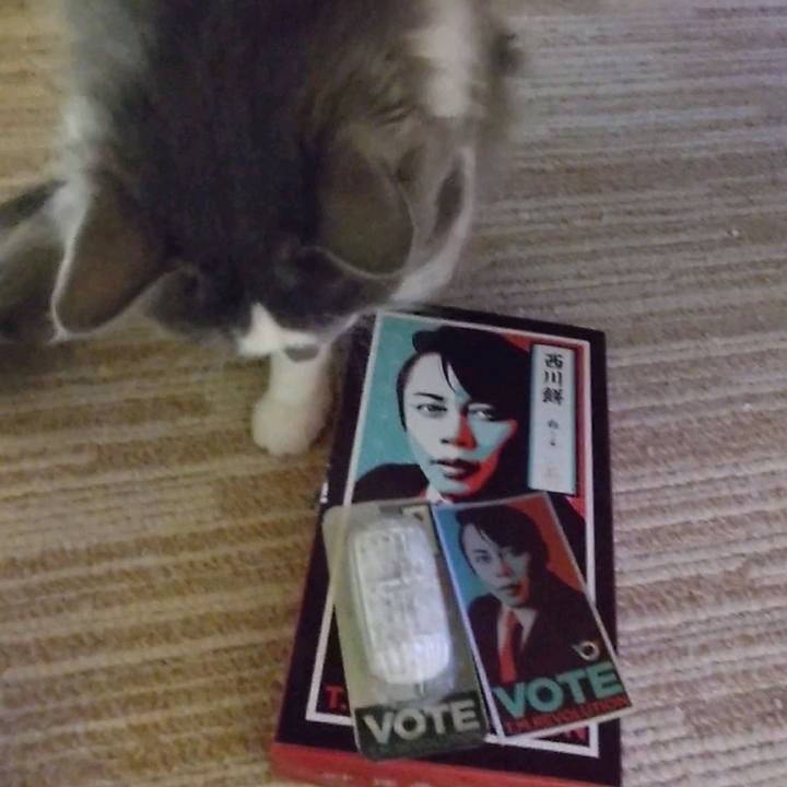 90633986 f012 44b5 9859 843a35687c4a 1638354637319