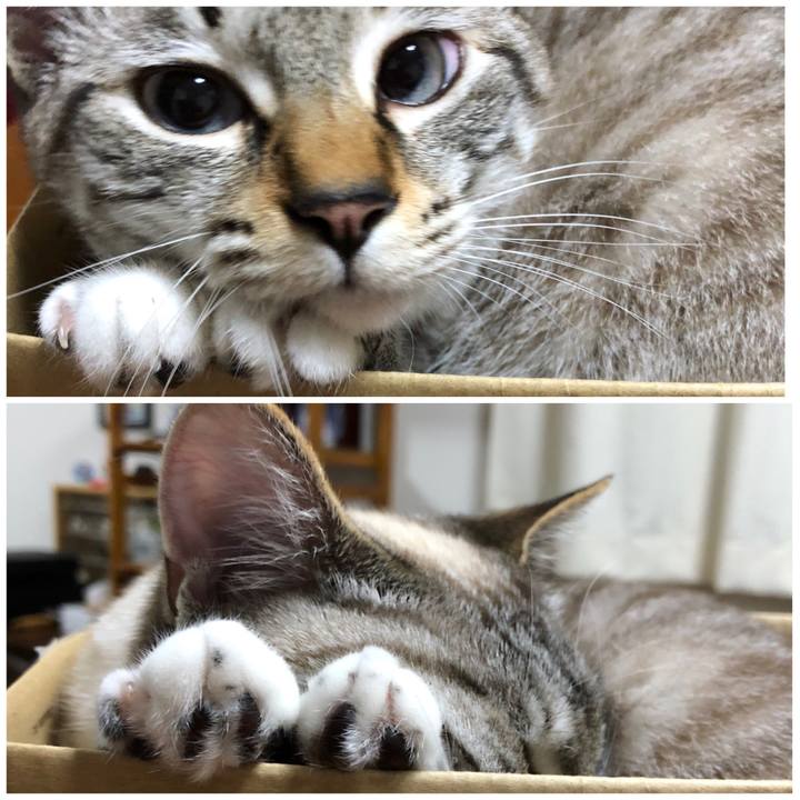 90633aed 50c9 4996 b4d6 324d4d8fc466 1622726026483