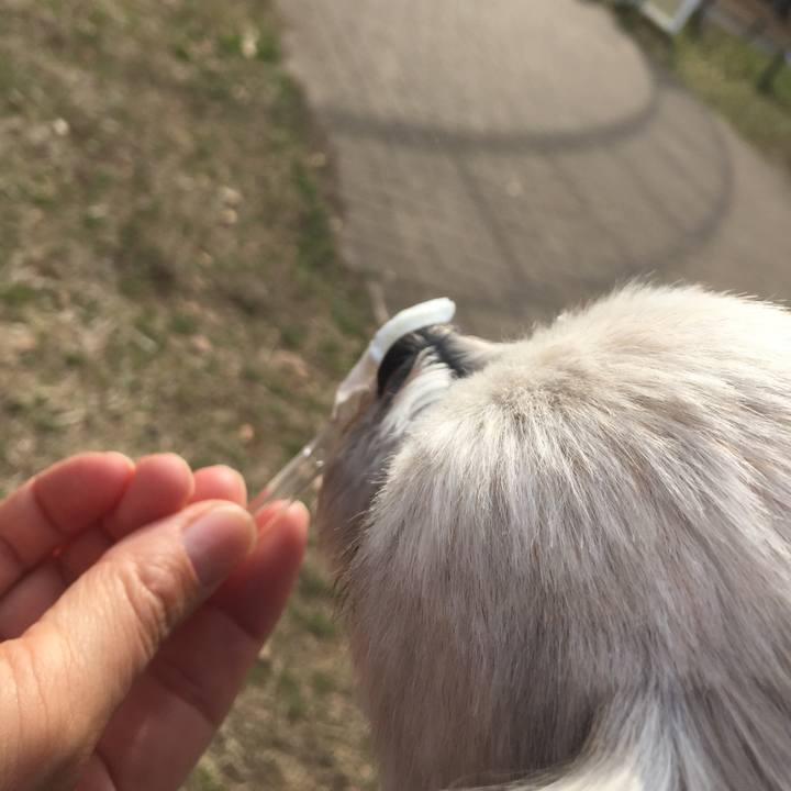 90634f0c a27c 4aa1 8086 535a6f857a50 1520068166281