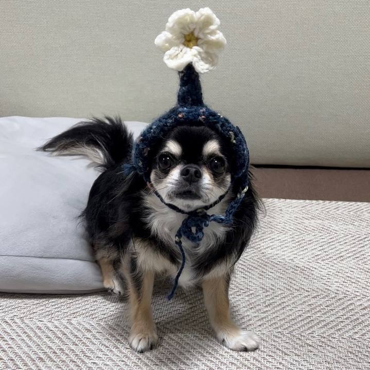 90638f2a b94c 4a60 960c b13e79210671 1695680422728