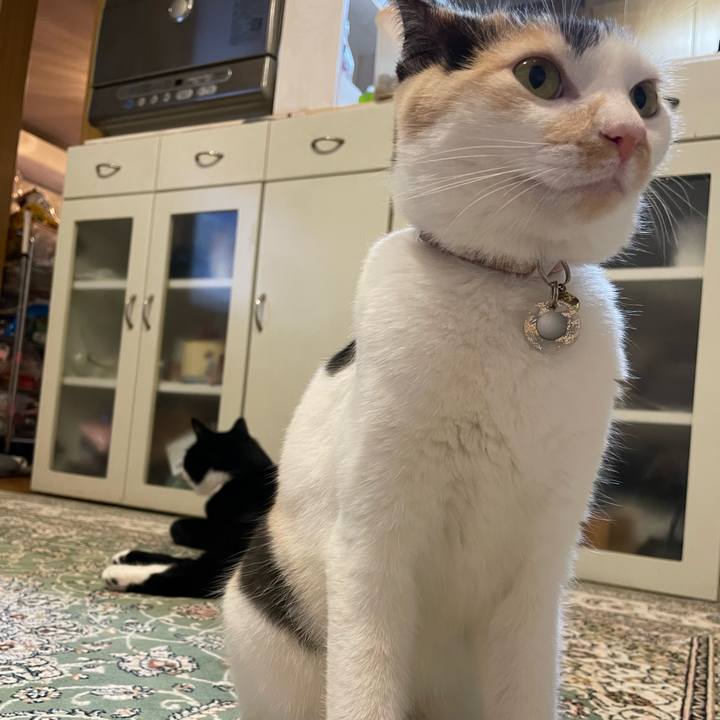 90639a1d 9443 4620 a449 83e23d98e138 1686565484721