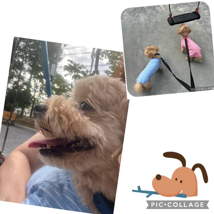 9063aaa0 3ae0 4b1e 8119 a09addaaf064 1691801914638