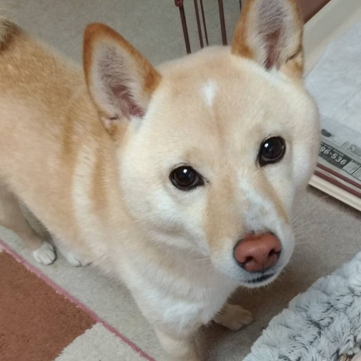 9063b141 2316 4c40 b575 cb8f9081eee0 1583795549356